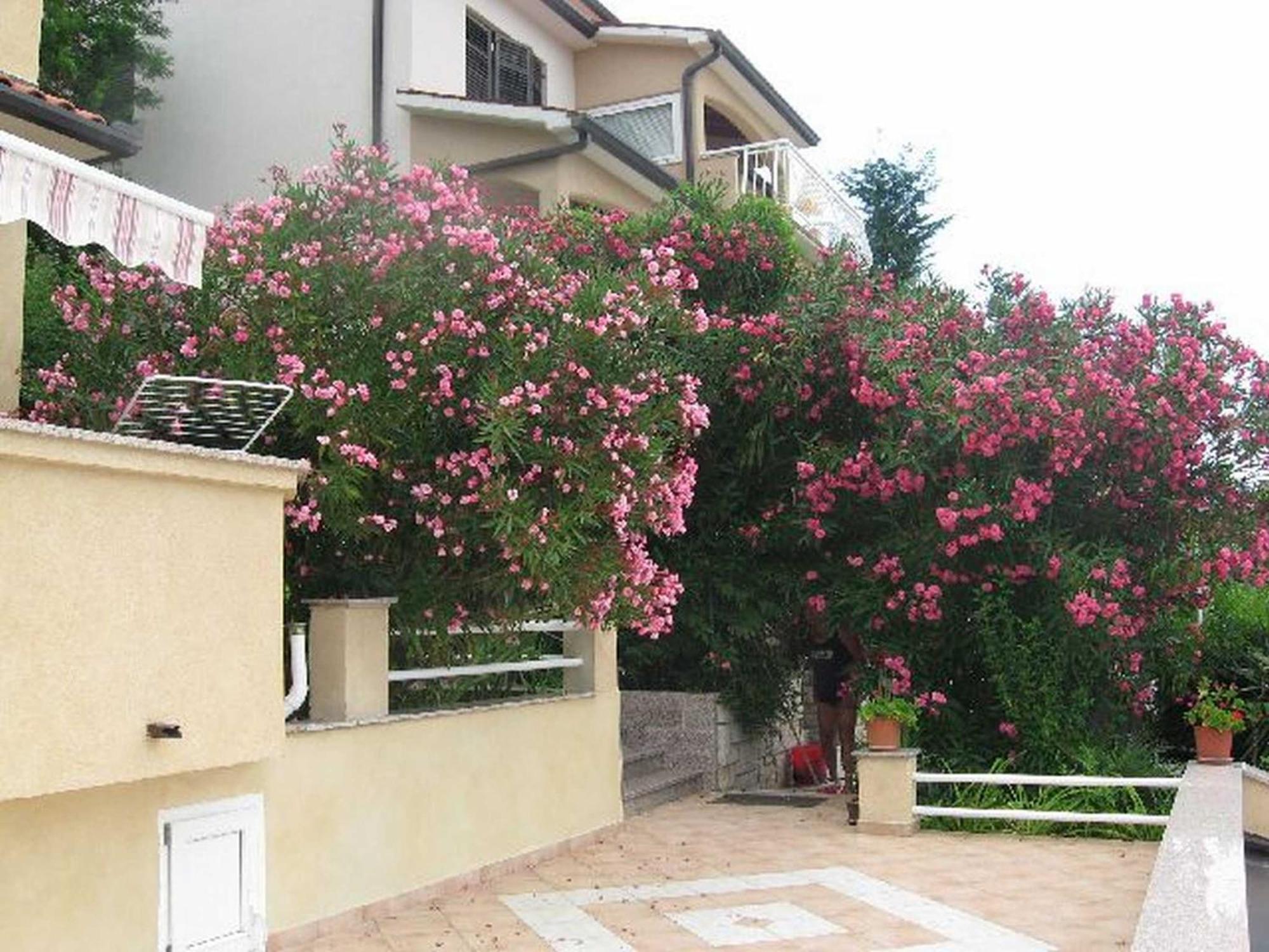 Apartments Silmare Рабац Екстериор снимка